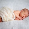 Cute newborn baby sleeps