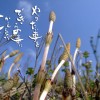 pixta_2929163_s