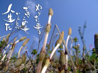 pixta_2929163_s
